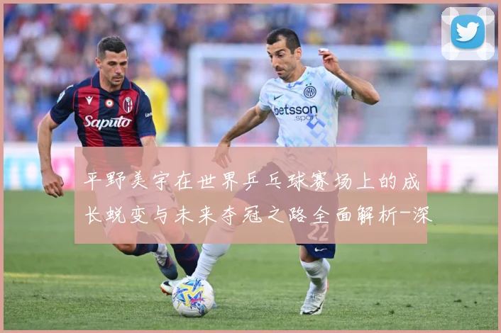 平野美宇在世界乒乓球赛场上的成长蜕变与未来夺冠之路全面解析-深度解析