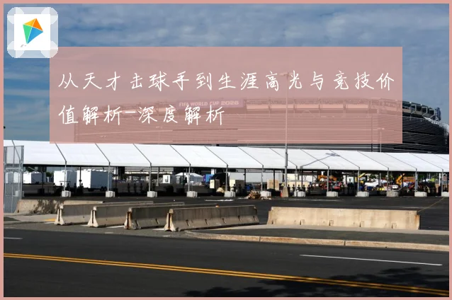 从天才击球手到生涯高光与竞技价值解析-深度解析