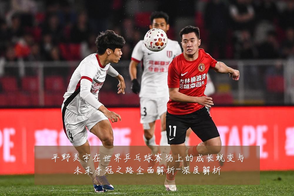 平野美宇在世界乒乓球赛场上的成长蜕变与未来夺冠之路全面解析-深度解析